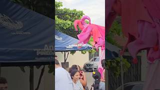 Chichimeco casi se cae plazalibertad viral shorts paraty [upl. by Agrippina]