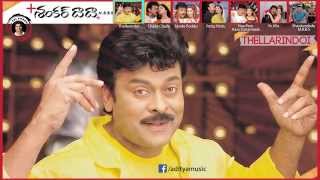 Shankardada M B B S Movie  Full Songs Jukebox  Chiranjeevi Sonali Bindre [upl. by Sada]