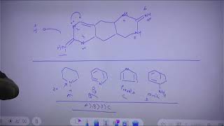 Nitrogenous Base In Organic Compounds [upl. by Picker]