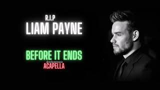 Liam Payne Before It Ends Acapella  Vocals Only [upl. by O'Reilly]