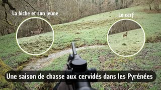 Une saison de chasse aux cervidés dans les Pyrénées  Saison 2 [upl. by Ahsok]