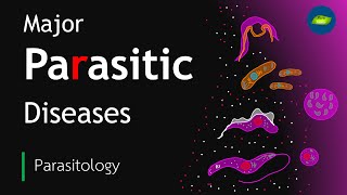 Parasitic Diseases in Humans  Parasitic Infections Worldwide  Basic Science Series [upl. by Barstow]