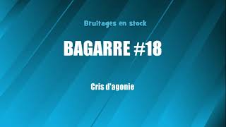 BAGARRE 18 Cris dagonie bruitage gratuit [upl. by Basilio]