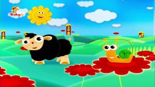 Ooh Ooh Ovejita Negra  BabyTV Español [upl. by Corb451]