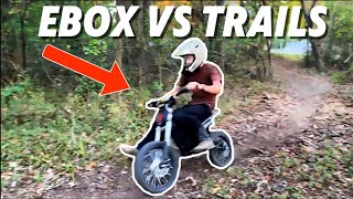 ELECTRIC PITBIKES VS PITBIKE TRACK [upl. by Narhet869]