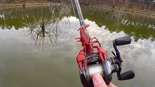 Spawning Bass Destroy New Crawfish Lure [upl. by Notsirk]