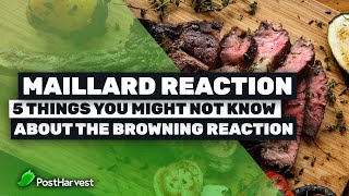 Maillard Reaction  5 Things You Might Not Know About The Browning Reaction [upl. by Atnes]