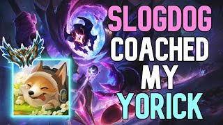 SLOGDOGS IMPRESSED BY MY YORICK [upl. by Sualocin]