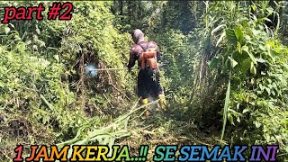 mesin rumput di bayar 100k ‼️ 1 jam kerja SE semak ini [upl. by Basham]