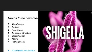 shigelluosis  shigella microbiology  morphology culture antigenic tructure and pathogenesis [upl. by Orlando]