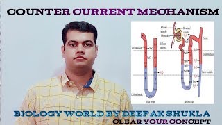 Counter Current Mechanism Countercurrentmechanism [upl. by Wieche]