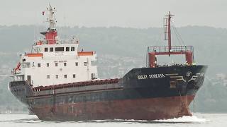 Ship Spotting at Bosphorus  2 May 2024 [upl. by Glinys715]