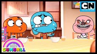 Anais The Evil Genius  Gumball  Cartoon Network [upl. by Care]