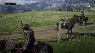 Red dead redemption horsemeet [upl. by Warfield753]