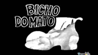 Bicho do Mato TV Globo 1972  Tema de abertura Completo [upl. by Nywde]