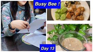 Day 13 Military Diet for Fat Loss What I eat in a day to lose 25kgs by Aleezay ReviewsDaily Vlog [upl. by Clifton]