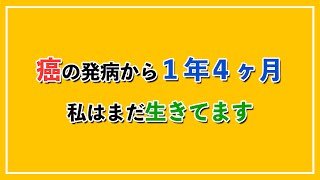 ガンと共に然らばだ2023年！2024年からは健康第一、お幸せに！今年もよろしくお願いしますセラチ [upl. by Yroc]