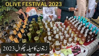 Olive Festival Kallar Kahar 2023 Zaitoon Mela Chakwal Ali Mohiuddin [upl. by Jameson]