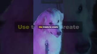 Why Dogs Hate Vacuum Cleaners 🐶🧹 shorts pets [upl. by Llednil]