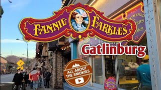 Fannie Farkles Famous Ogledog  Gatlinburg TN [upl. by Akihsan]