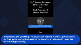 BlkAfrican AmericanFreedmenADOS amp FBA Dont Deserve One Red Penny ofReparationsbecause they [upl. by Veejar]