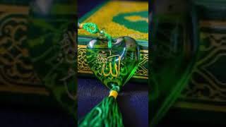 Naat Rahman ya rahman 🌹🌷shortvideo love naat [upl. by Anneis]