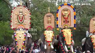 Kavilakkad Pooram 2019 Kerala Elephants [upl. by Aserret623]