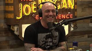 Joe Rogan Experience 1677  Tim Dillon [upl. by Eelatsyrc]