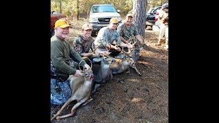 SC Deer Dog Drives 2017 Back to the Mount Bucks everywhere 1104 [upl. by Nedia926]