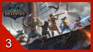 Searching for Survivors  Pillars of Eternity 2 Deadfire  Lets Play  3 [upl. by Attirehs]