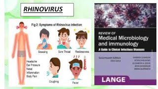 Microbiology  Rhinovirus microbiology rhinovirus [upl. by Sleinad]