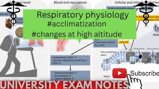 Acclimatization physiologymedicoscontent3135 [upl. by Jobyna669]