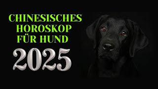 Hund  2025 Chinesisches Horoskop Das Jahr der grünen Schlange [upl. by Tinya]