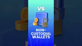 Whats the Difference Custodial Wallets vs NonCustodial Wallets [upl. by Desdamona]