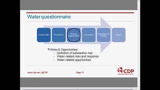 CDP Consulting Services Webinar [upl. by Tellford373]