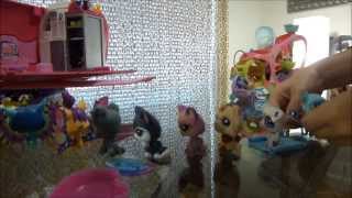 LPS  Littlest Pet Shop  goes to Hawaii home video [upl. by Aciretnahs964]