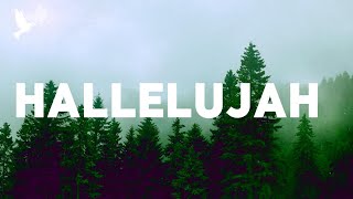 Shawn Mendes  Hallelujah Lyrics [upl. by Leksehcey]