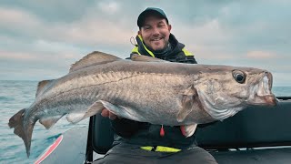 Test des nouvelles CANNES ILICIUM  les GROS POISSONS sont là [upl. by Dajma]