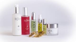 Soothe and calm your sensitive skin with Osea Malibu Skincare [upl. by Nalad657]