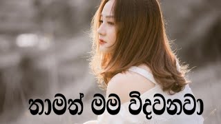 තාමත් මම විදවනවා  Adara wadan Love [upl. by Aimit330]