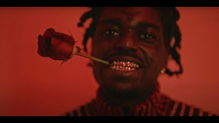 Kodak Black  Catch Fire Official Music Video [upl. by Mira]