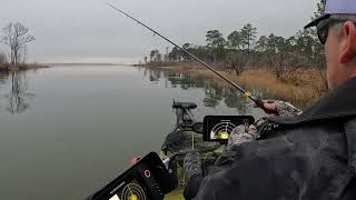 HOBIE BOS TOURNAMENT at Sam Rayburn Reservoir DAY 2 [upl. by Sucramrej923]