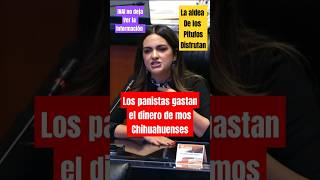 Andrea chávez exhibe a los panistas de Chihuahua por corrupción ultimahora [upl. by Trebeh]