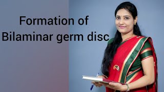 Formation of bilaminar germ disc and development of Blastocyst [upl. by Odirfliw710]