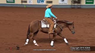 Dan Huss and Ms Dreamy at the AQHA World Show [upl. by Anayk]