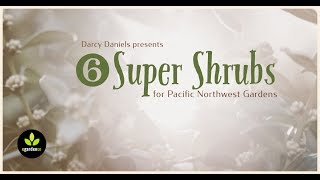 Six Super Shrubs for Pacific Northwest Gardens [upl. by Esilrac]