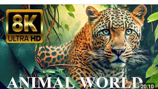 Wildlife of Amazon 4K  Animals That Call The Jungle Home  Amazon Rainforest  Relaxation Film [upl. by Hoi]