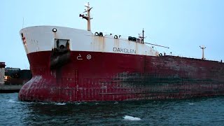 Oakglen  Battered ExSaltie Makes Rare Duluth Visit [upl. by Brice528]