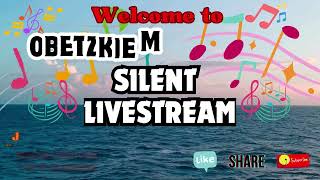 Update my Watch Hour  Silent Live  obetzkiemotovlog [upl. by Nyvrem]