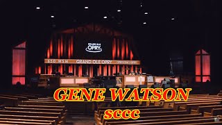 GENE WATSON  Medley quotbest of 70s and 80squot [upl. by Nileuqay]